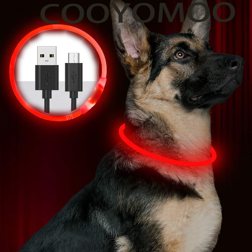 Tech Dog Accessories - Collar LED de silicona para perros,