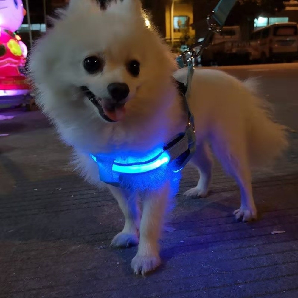 Tech Dog Accessories - Arnés Luminoso LED para Perro, Recargable,