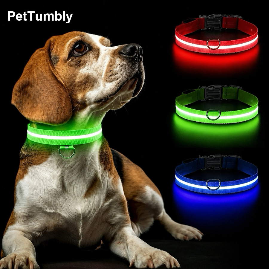 Tech Dog Accessories - Collar Luminoso para Perros con 3