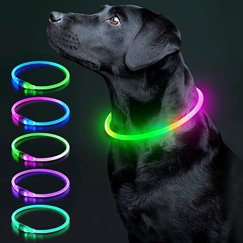 Tech Dog Accessories - Collar luminoso para perro, Collar con