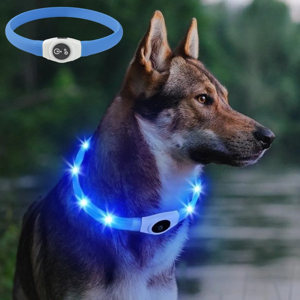 Tech Dog Accessories - Nuevo Collar luminoso Led para perro,
