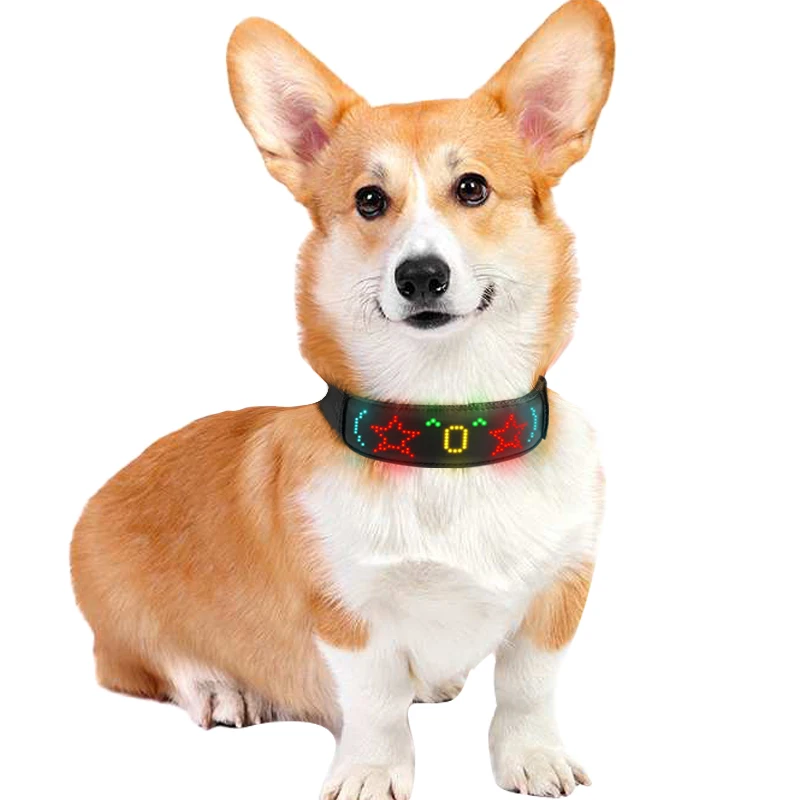 Collares LED multicolores para - Tech Dog Accessories reseña y precio