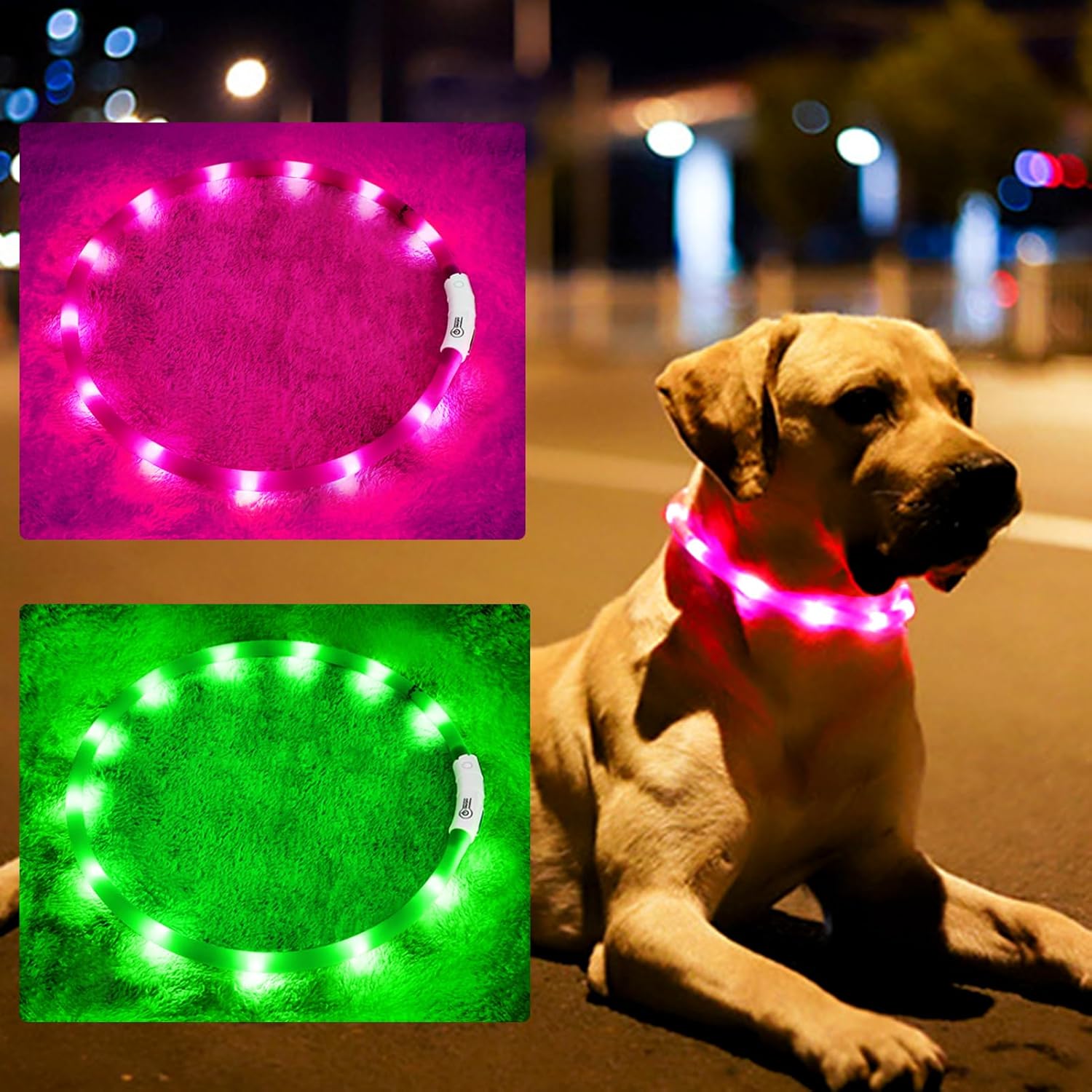 Collar LED de silicona para pe - Tech Dog Accessories reseña y precio