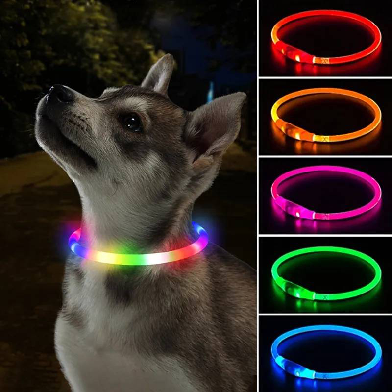 Collar de carga Luminou para p - Tech Dog Accessories reseña y precio