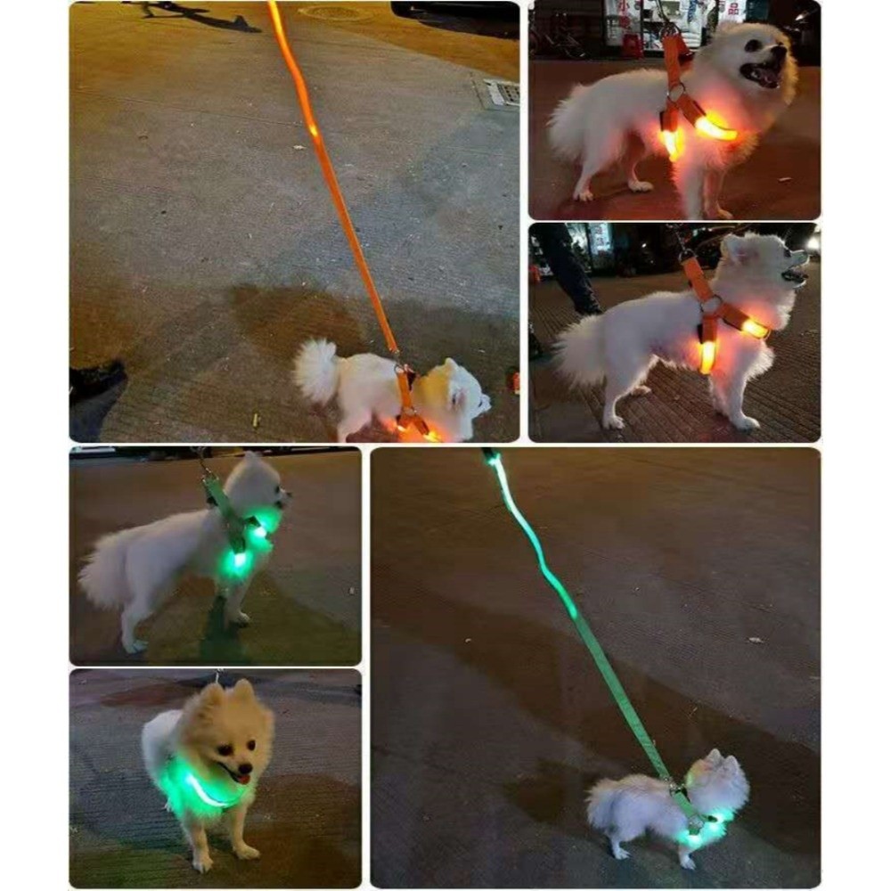 Arnés Luminoso LED para Perro, - Tech Dog Accessories reseña y precio