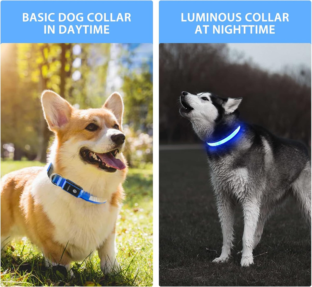 Luces LED USB para Collar de P - Tech Dog Accessories reseña y precio