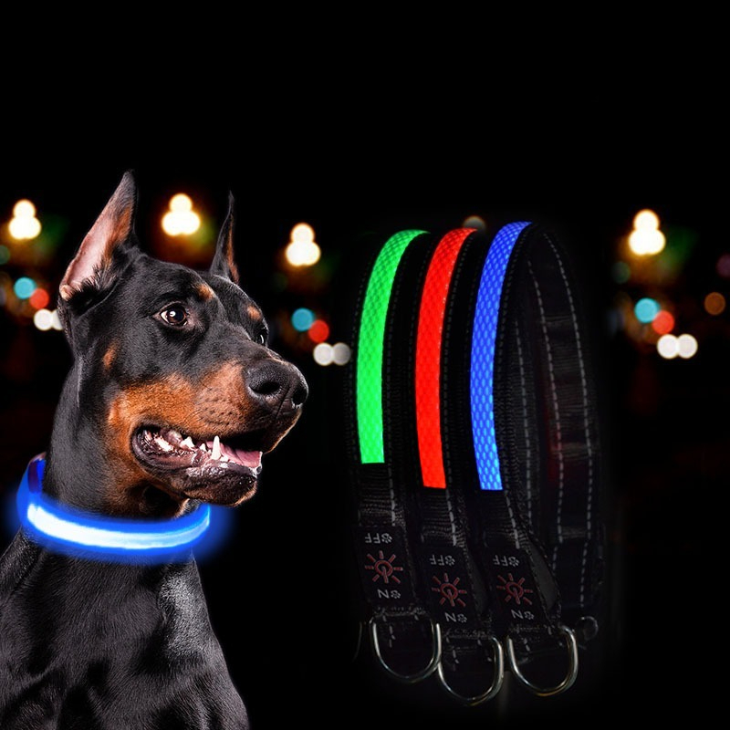 Luces LED USB para Collar de P - Tech Dog Accessories reseña y precio