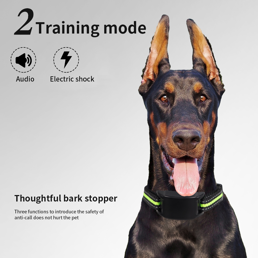 Collar Antiladridos para Perro - Tech Dog Accessories reseña y precio