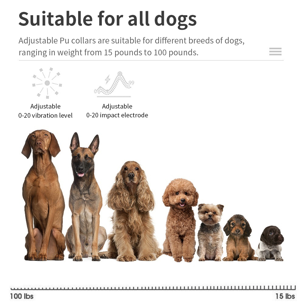 Collar Antiladridos para Perro - Tech Dog Accessories reseña y precio
