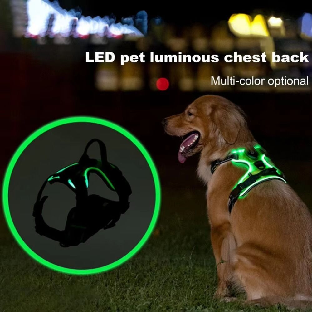 Arnés Luminoso LED Duradero pa - Tech Dog Accessories reseña y precio