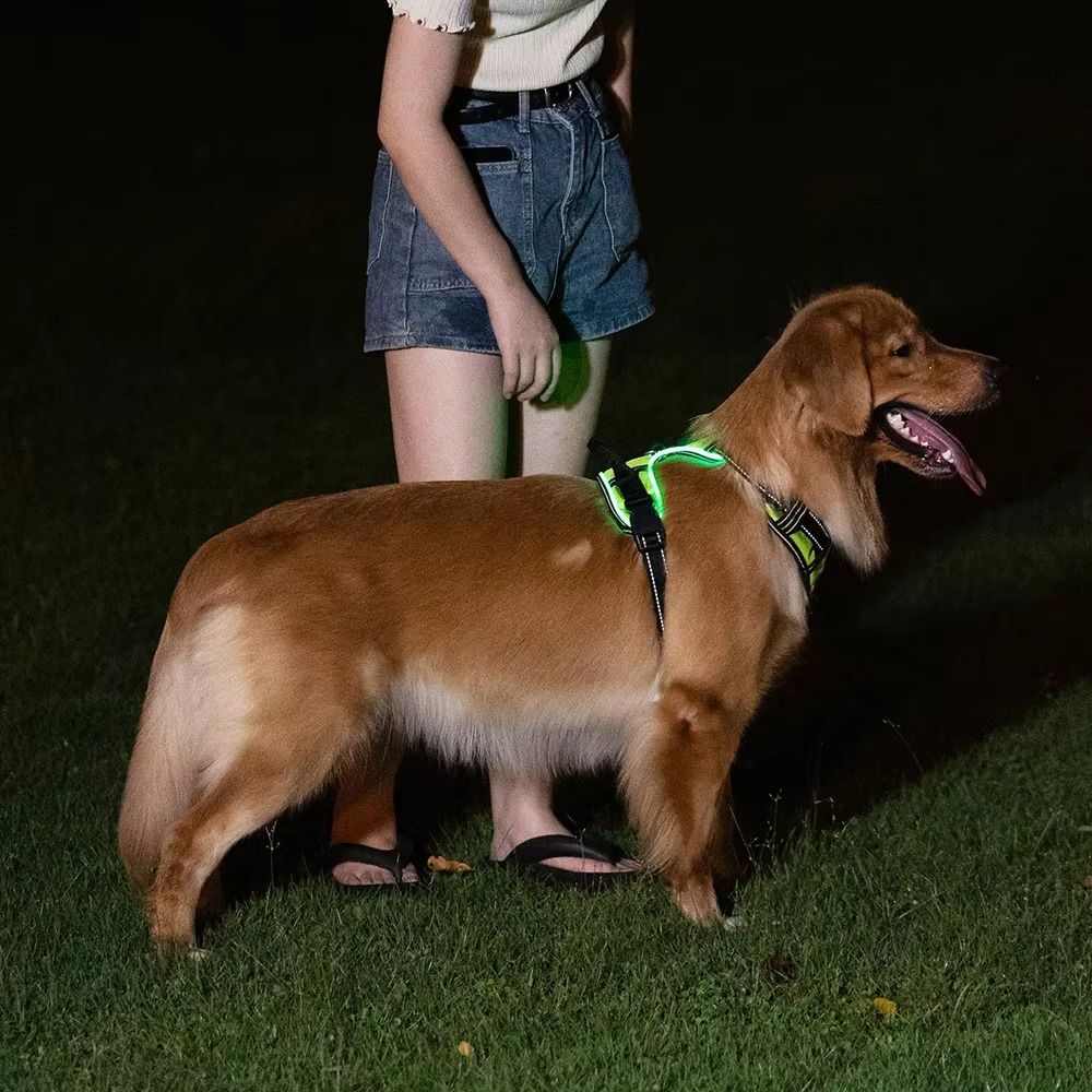 Arnés Luminoso LED Duradero pa - Tech Dog Accessories reseña y precio