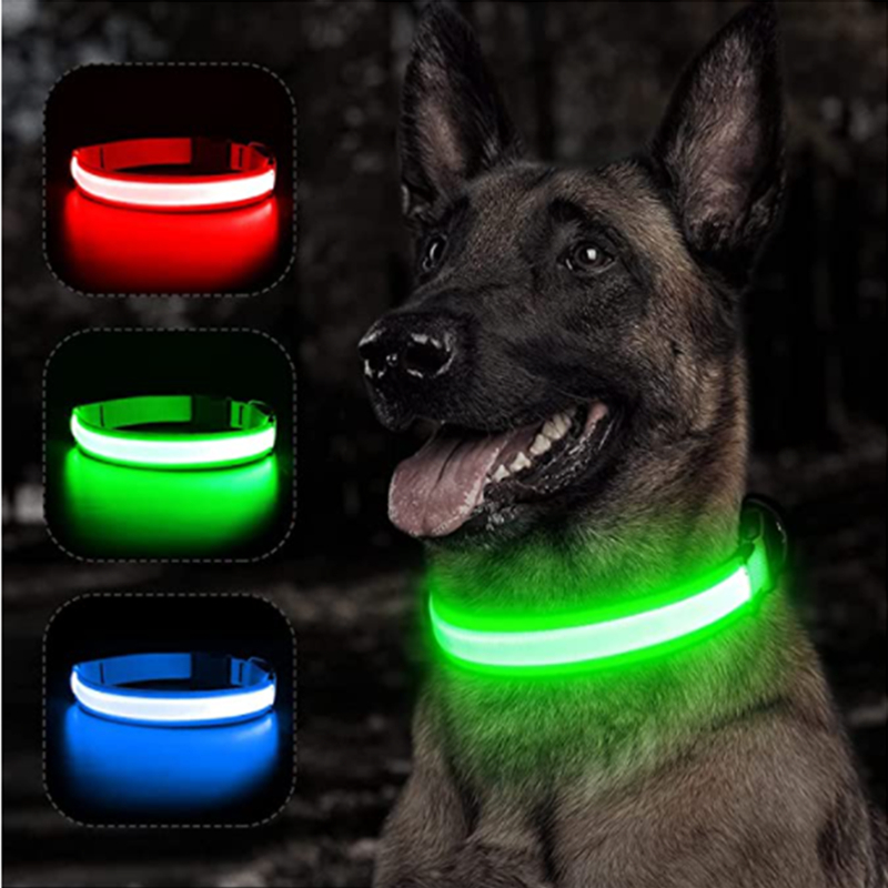 Collar Luminoso Recargable por - Tech Dog Accessories reseña y precio