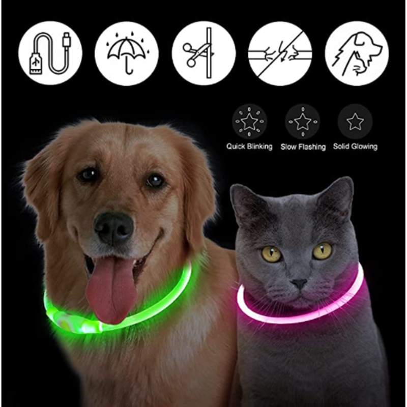 Collar Luminoso Recargable por - Tech Dog Accessories reseña y precio