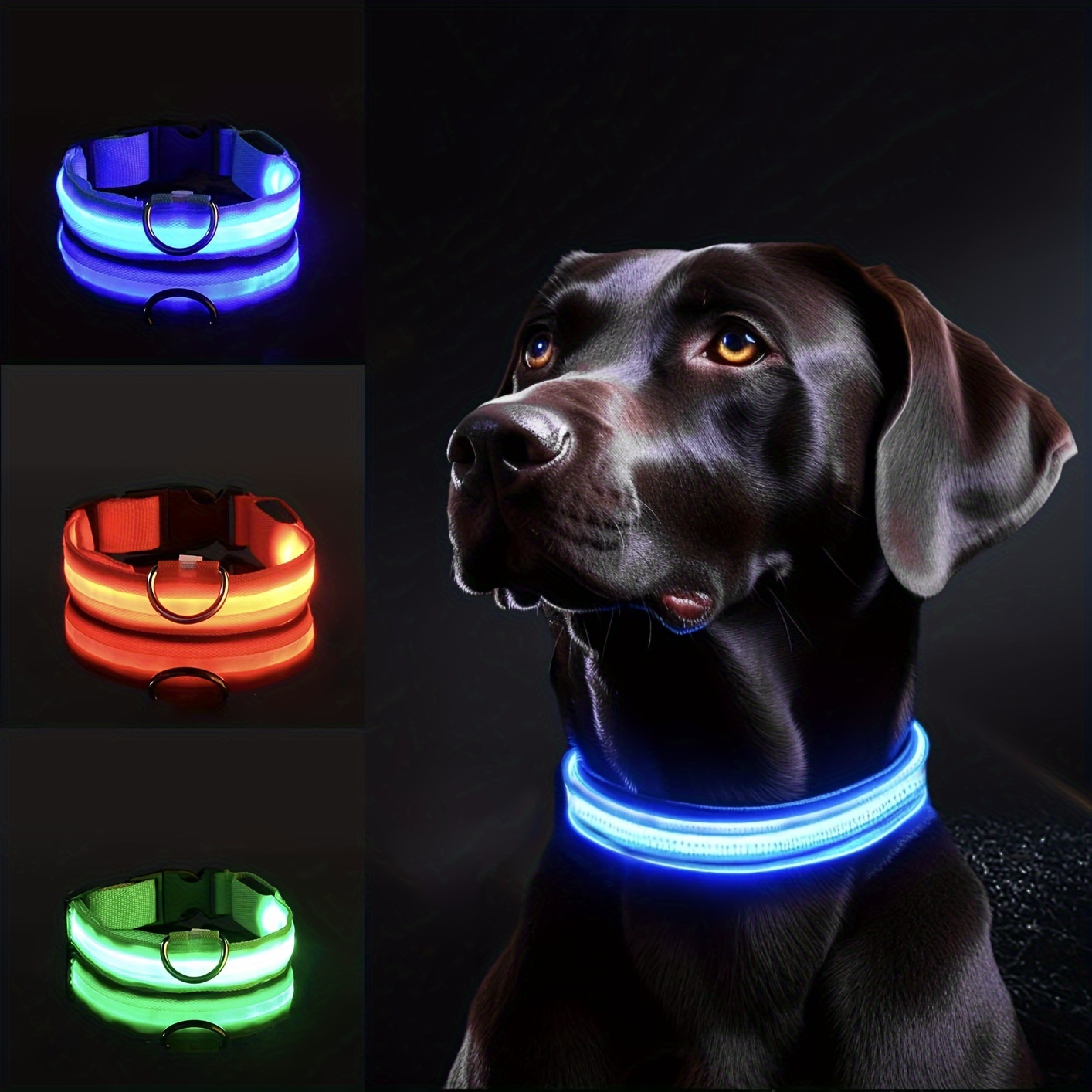 Collar de perro LED reflectant - Tech Dog Accessories reseña y precio