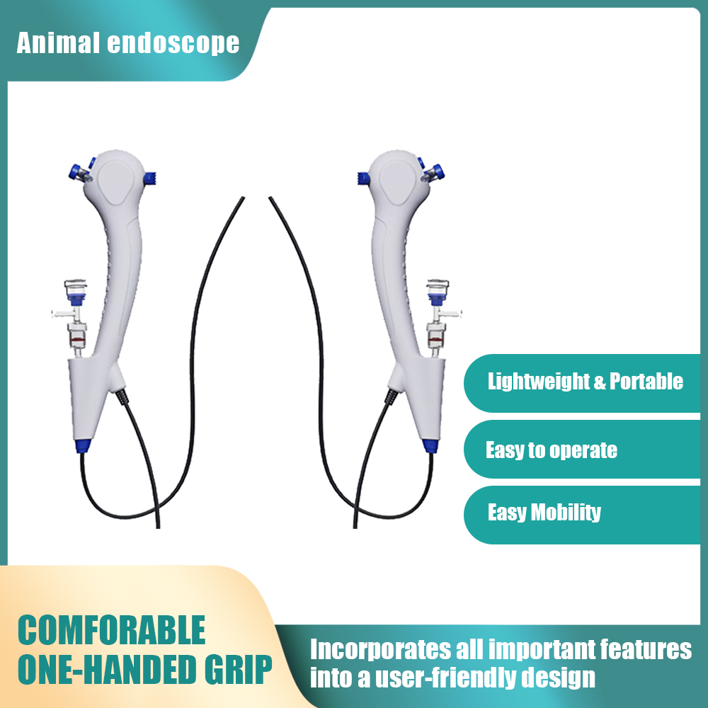 Endoscopios Flexibles de 1.95m - Vet Tech Accessories reseña y precio